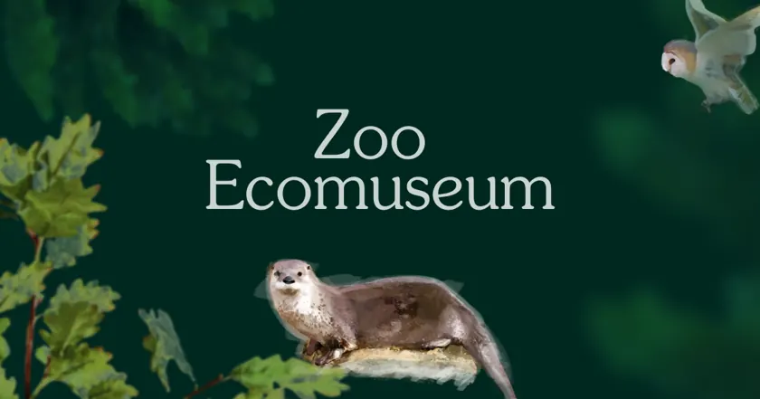 Zoo Ecomuseum: квебекские животные осенью
