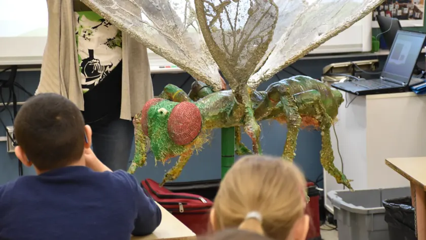 Удивительные насекомые: 8-12 лет