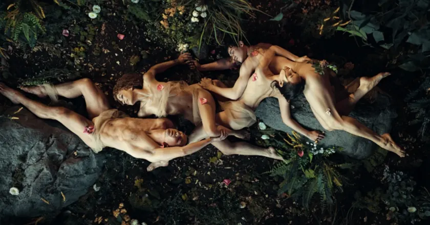 Midsummer Night Dreams