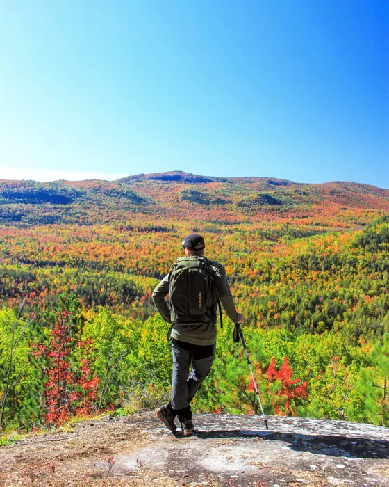 Forêt Ouareau — Massif