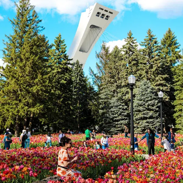 Jardin botanique