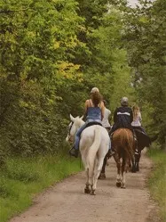 Ranch Robert: прогулка на лошадях