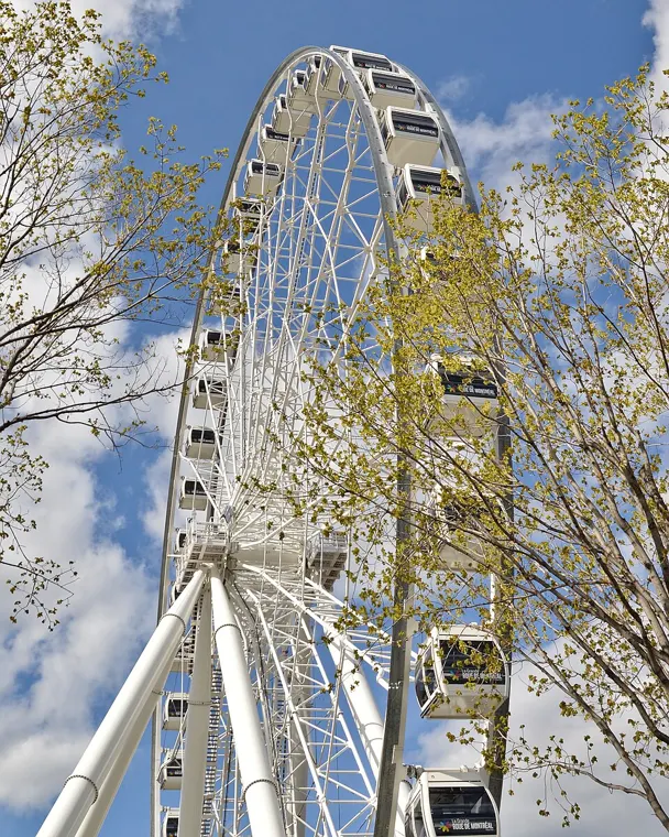 La Grande Roue de Montréal в Старом порту